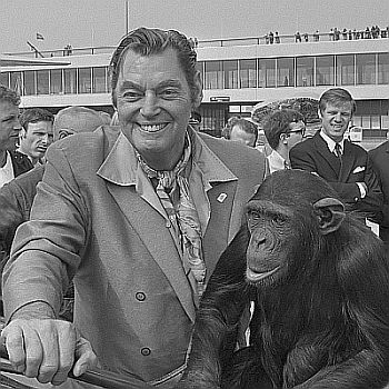 Johnny Weissmller am 24. Juni 1970 bei seiner Ankunft auf dem "Flughafen Schiphol" in Amsterdam; Rechteinhaber: Nationaal Archief (Den Haag, Rijksfotoarchief; Bestandsnummer: 923-6190); Urheber/Fotograf: Joost Evers/Anefo; Quelle: Wikimedia Commons (Ausschnitt des Originalfotos); Lizenz: CC0 1.0 (Verzicht auf das Copyright)