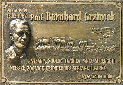 Gedenktafel für Bernhard Grzimek in seinem Geburtsort Neiße im heutigen Polen (polnisch Nysa); Urheber des Fotos: Wikimedia-User Bonio; Lizenz: CC BY-SA 3.0; Quelle: Wikimedia Commons